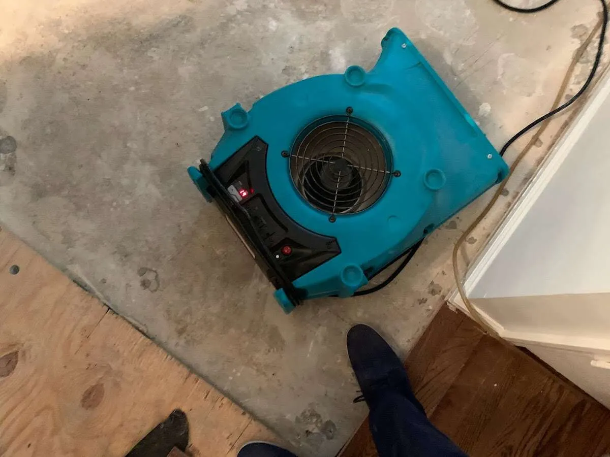 Air mover drying subfloor during Leak Detection & Repair in Mapleton